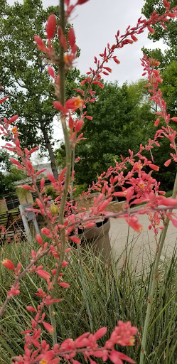 Recreation Center «Tom Muehlenbeck Center», reviews and photos, 5801 W Parker Rd, Plano, TX 75093, USA