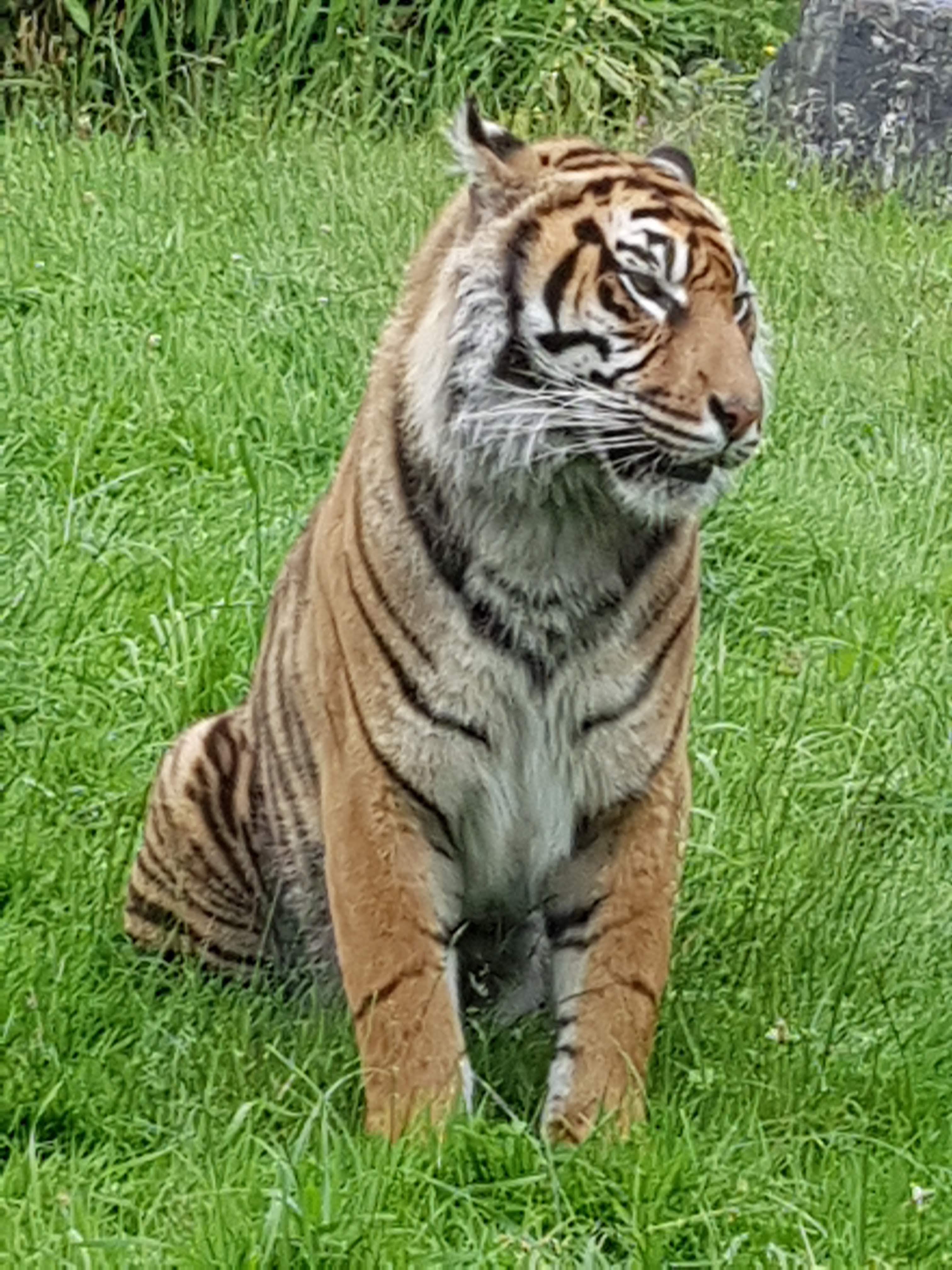 Photo n° 15 de l'avis de Karima.o fait le 06/07/2018 à 06:51