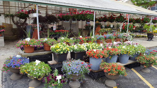 Florist «Kinsch Village Florist & Garden Center», reviews and photos, 301 Johnson St, Palatine, IL 60067, USA