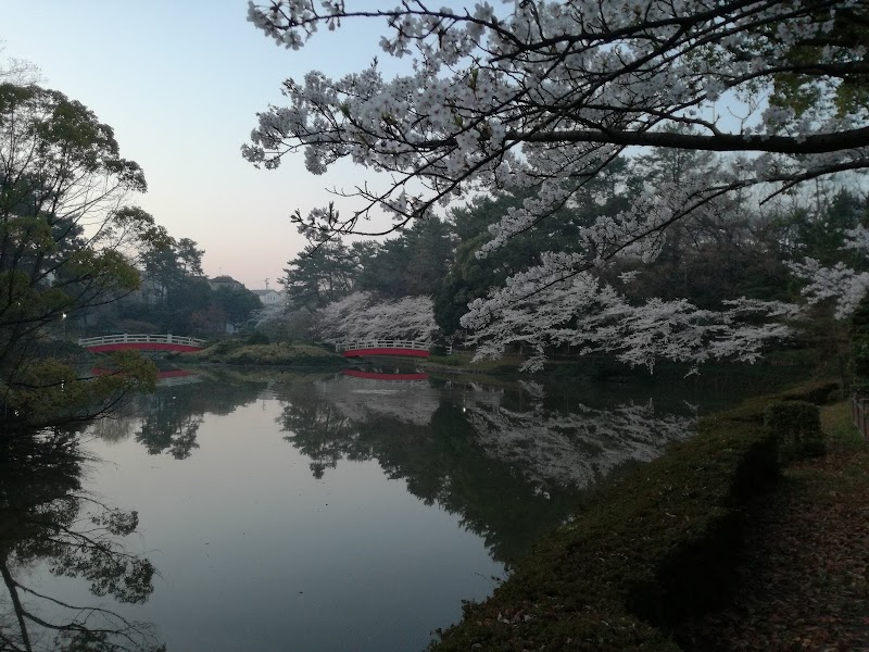 上野台公園