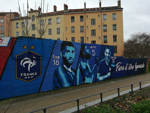 Fresque des lyonnais champions du monde 2018 à Lyon