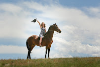 Kevin Snyder Photography - Photo 5 - Car repair in Louisville, CO, Boulder