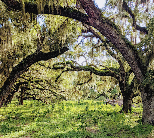 Family Law Attorney «Roy and Amico Law Group», reviews and photos