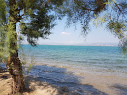 Photo de Paralia Avlidas zone des équipements