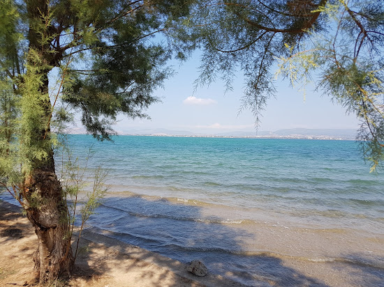 Paralia Avlidas