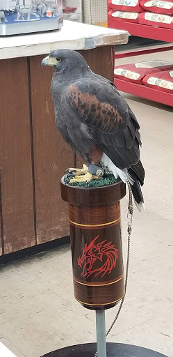 Pet Supply Store «Capital Pet», reviews and photos, 17500 Cicero Ave, Country Club Hills, IL 60478, USA