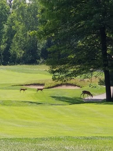 Golf Club «Boulder Pointe Golf Club», reviews and photos, 1 Champions Cir, Oxford, MI 48371, USA