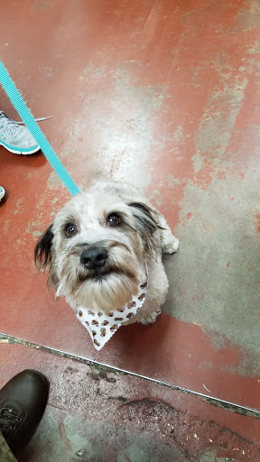 Pet Store «Pet Wize», reviews and photos, 11401 N 56th St, Tampa, FL 33617, USA