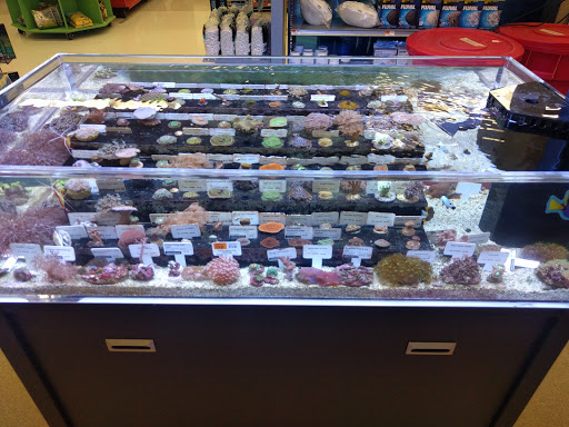 Pet Supply Store «Petco Animal Supplies», reviews and photos, 103 Commerce Way a, Woburn, MA 01801, USA