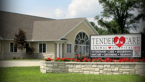 Tender Care Animal Hospital of Peoria image 1