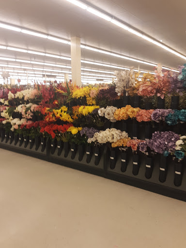 Craft Store «Hobby Lobby», reviews and photos, 44725 Schoenherr Rd, Sterling Heights, MI 48313, USA