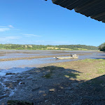 Photo n° 5 de l'avis de Philippe.a fait le 03/08/2023 à 22:12 pour Honoré Mytiliculture à Névez