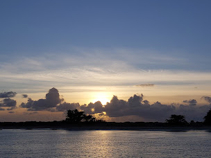 Photo n°63 de Restaurant 