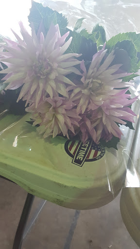 Florist «Botanica Wholesale Florist», reviews and photos, 3208 International Pl, Irving, TX 75062, USA