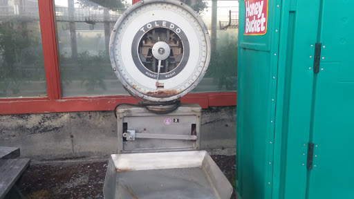 Winery «Rainier View Winery and Nursery», reviews and photos, 12314 264th St E, Graham, WA 98338, USA