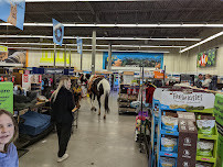 Petco - Photo 3 - Car repair in Idaho Falls, ID, Idaho Falls