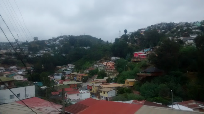 Opiniones de Depósito Bus Norte en Valparaíso - Servicio de transporte