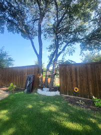 Elevent Landscaping/Tree Services - Photo 6 - Car repair in , Centennial