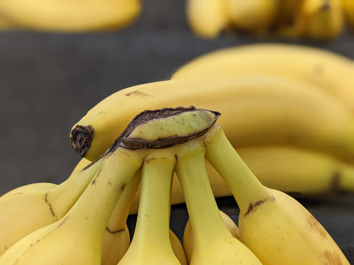 Health Food Store «Sprouts Farmers Market», reviews and photos, 4630 Palm Ave, La Mesa, CA 91941, USA