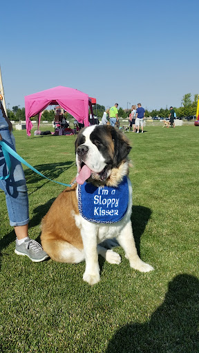 Insurance Agency «Allstate Insurance Agent: Scott Bowen», reviews and photos