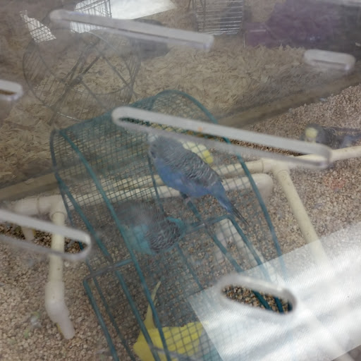 Pet Supply Store «Pet Supermarket», reviews and photos, 2339 NW 13th St, Gainesville, FL 32609, USA