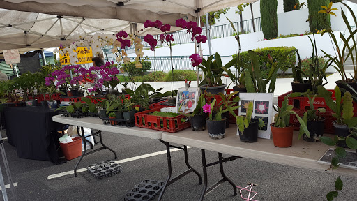 Alhambra Farmers Market image
