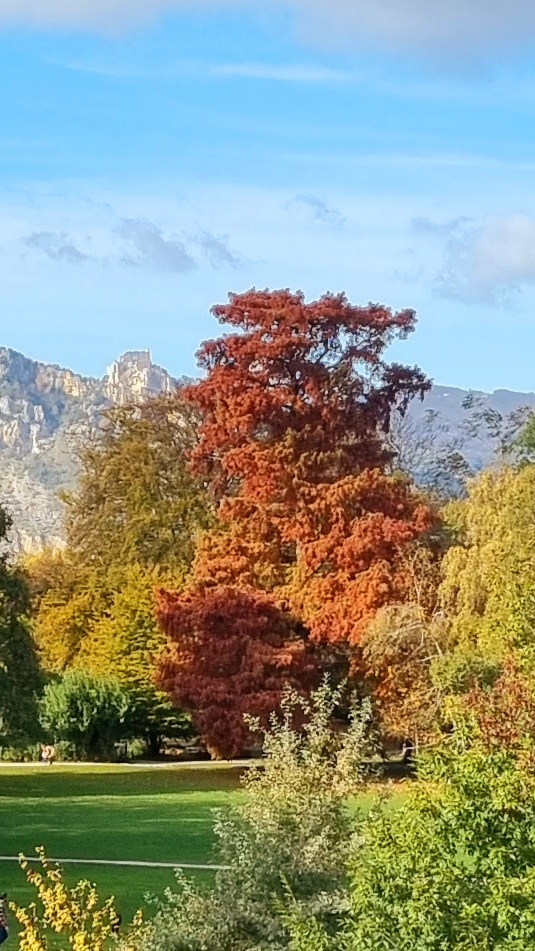 Photo n° 3 de l'avis de Joelle.o fait le 07/11/2021 à 16:24