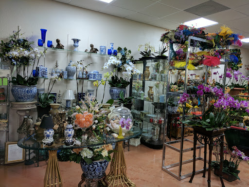 Florist «Floral Impressions», reviews and photos, 4203 W El Prado Blvd # A, Tampa, FL 33629, USA
