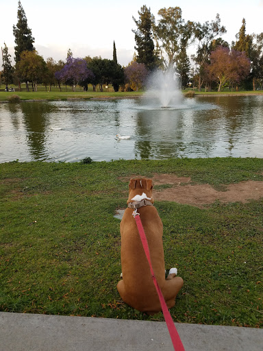 Golf Course «Alhambra Golf Course», reviews and photos, 630 S Almansor St, Alhambra, CA 91801, USA