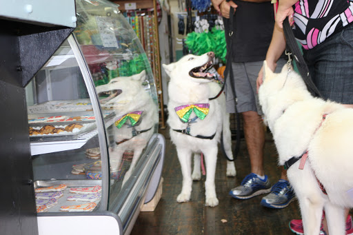 Pet Supply Store «Grrs & Purrs», reviews and photos, 116 N Woodland Blvd, DeLand, FL 32720, USA