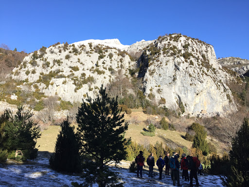 Escuela Española de Supervivencia y Bushcraft Granada