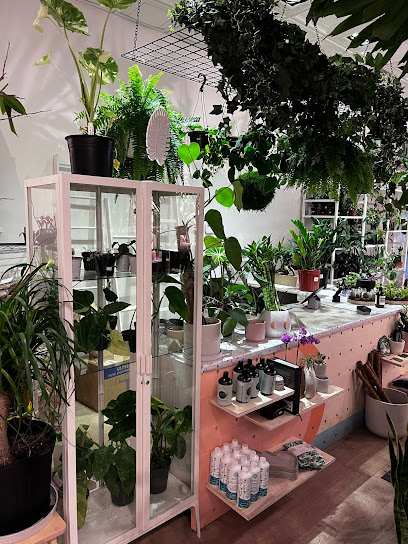 Jungle Plant Store