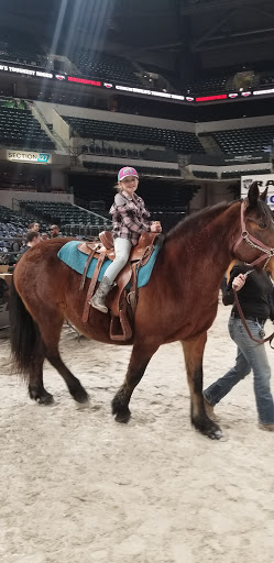Arena «Bankers Life Fieldhouse», reviews and photos, 125 S Pennsylvania St, Indianapolis, IN 46204, USA