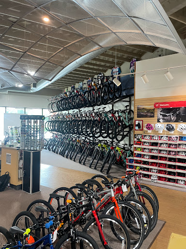 Bicycle Store «Cycleworks Bicycles - Duluth», reviews and photos, 3576 Peachtree Industrial Blvd, Duluth, GA 30096, USA