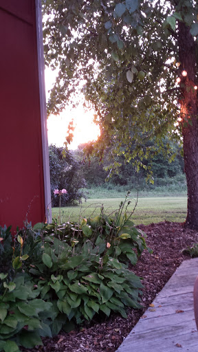 American Restaurant «The Timberdoodle Restaurant at Eddy Grove Vineyard», reviews and photos, 300 Martin Rd, Princeton, KY 42445, USA