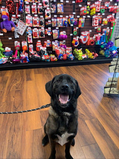 Pet Nirvana Perry Hall