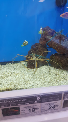 Pet Supply Store «Petco Animal Supplies», reviews and photos, 231 N Glendale Ave, Glendale, CA 91206, USA