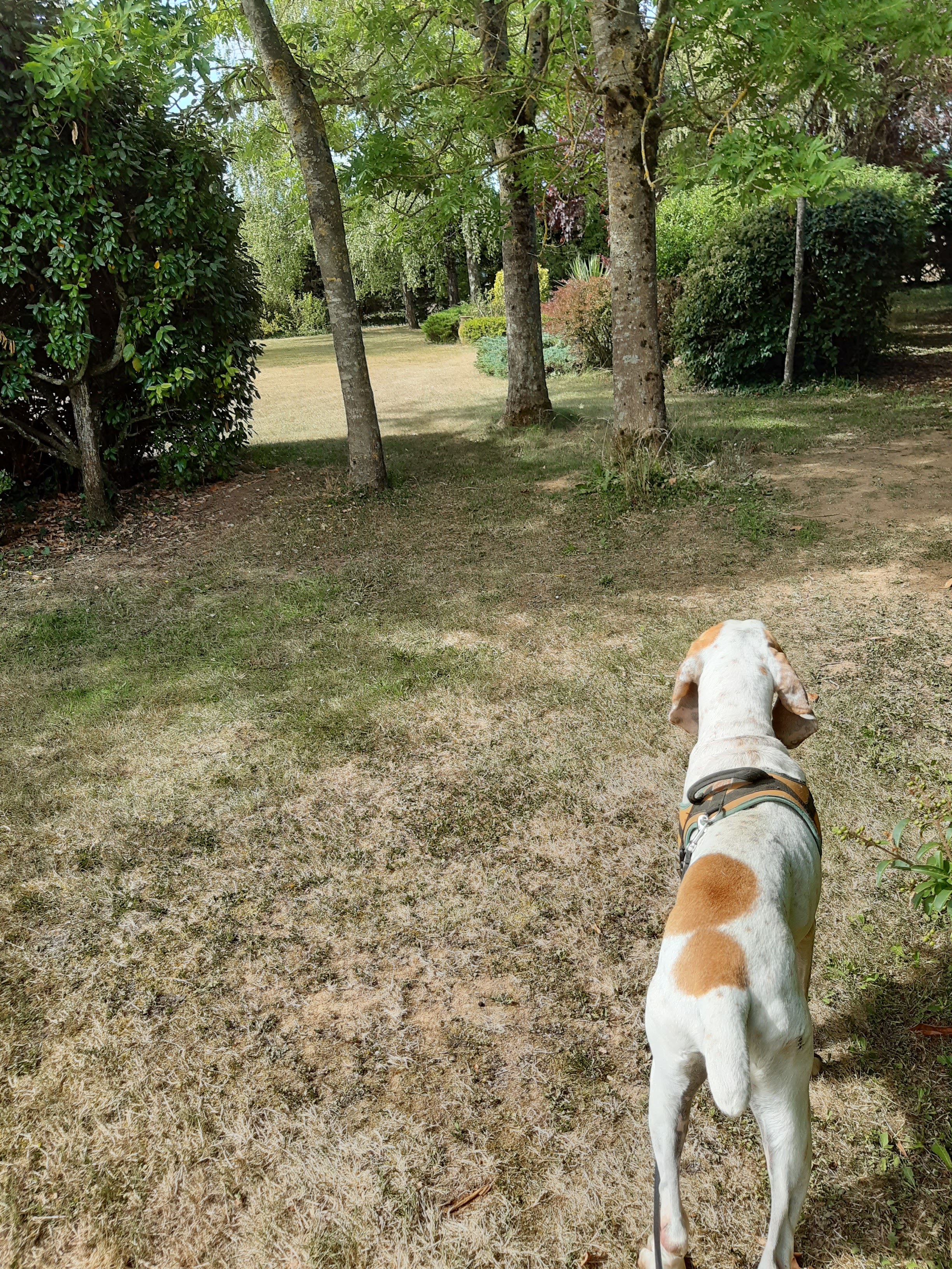 Photo n° 2 de l'avis de Alain.E fait le 15/07/2022 à 21:53