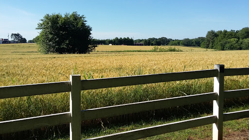 Home Improvement Store «Tractor Supply Co.», reviews and photos, 5387 Scottsville Rd, Bowling Green, KY 42104, USA