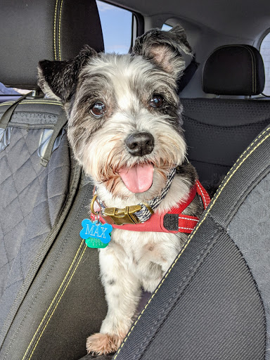 Pet Supply Store «PetSmart», reviews and photos, 700 Gallery Blvd b, Scarborough, ME 04074, USA