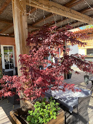 Photo n°25 de Parfum du Vietnam à Pertuis ()