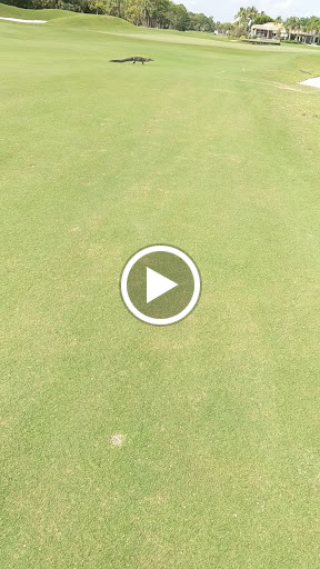 Golf Club «Old Marsh Golf Club», reviews and photos, 7500 Old Marsh Rd, Palm Beach Gardens, FL 33418, USA