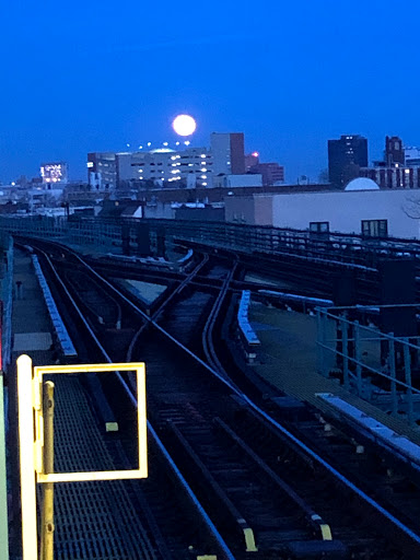 Night Club «Maracas», reviews and photos, 121-08 Jamaica Ave, Queens, NY 11418, USA