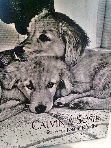 Calvin & Susie