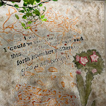 Photo n°6 de l'avis de Marghe. fait le 08/08/2023 à 11:35 sur le  Moltivolti à Palermo