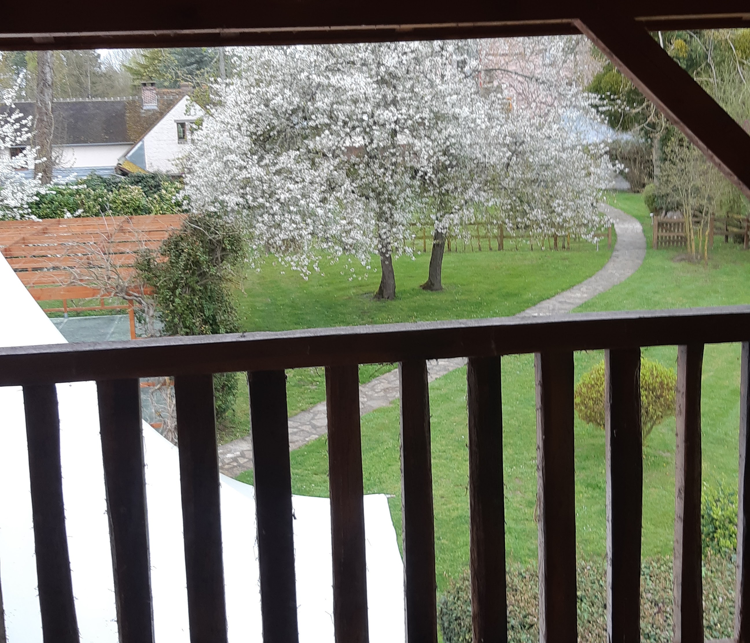 Photo n° 6 de l'avis de Christophe.a fait le 07/04/2024 à 06:23