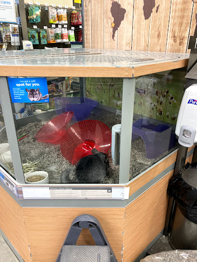 Pet Supply Store «Petco Animal Supplies», reviews and photos, 8161 Beverly Blvd, Los Angeles, CA 90048, USA