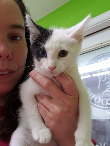 Pet Store «Pets Plus - Quakertown», reviews and photos, 117 S West End Blvd, Quakertown, PA 18951, USA