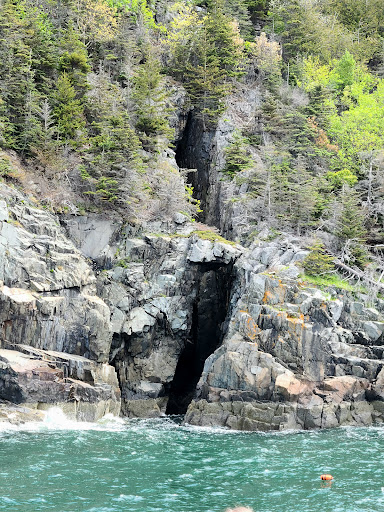 Tourist Attraction «Acadian Boat Tours», reviews and photos, 119 Eden St, Bar Harbor, ME 04609, USA