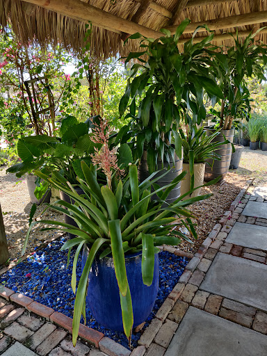 Wholesale Plant Nursery «Galloway Farm Nursery Inc.», reviews and photos, 7790 SW 87th Ave, Miami, FL 33173, USA